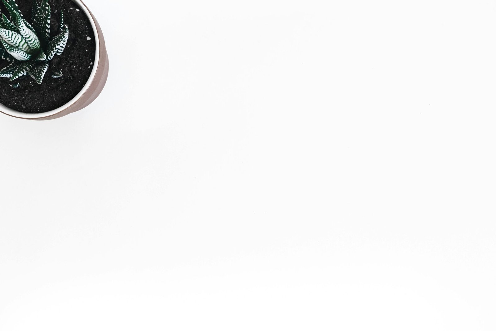 🎯 催眠治療師如何判斷你「適唔適合」做催眠？評估機制背後的專業邏輯